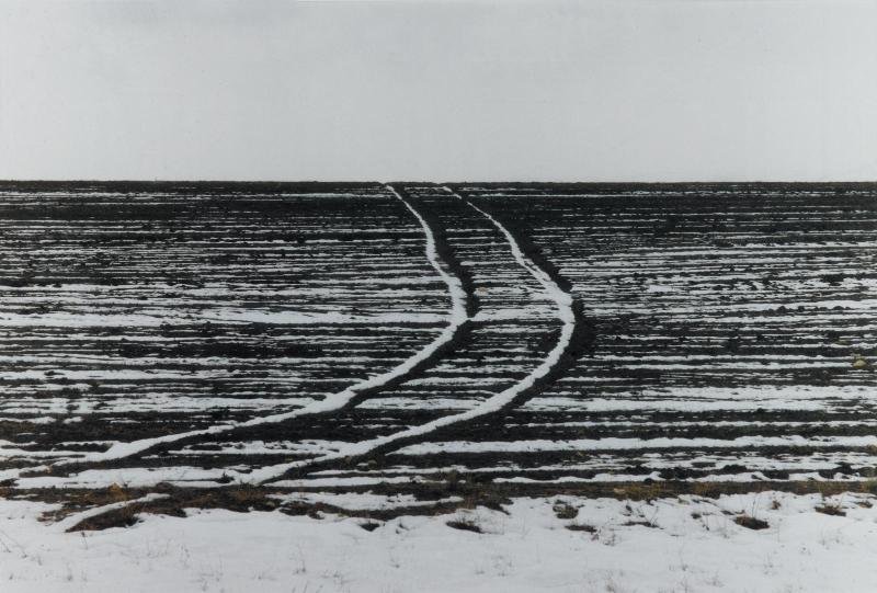 Abbas Kiarostami, Untitled, 1999