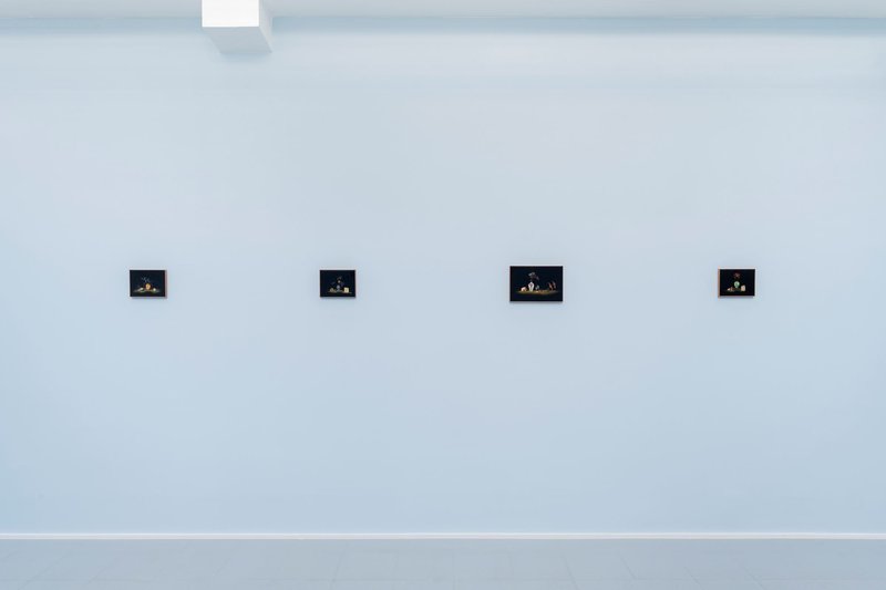 Cyanide, installation view