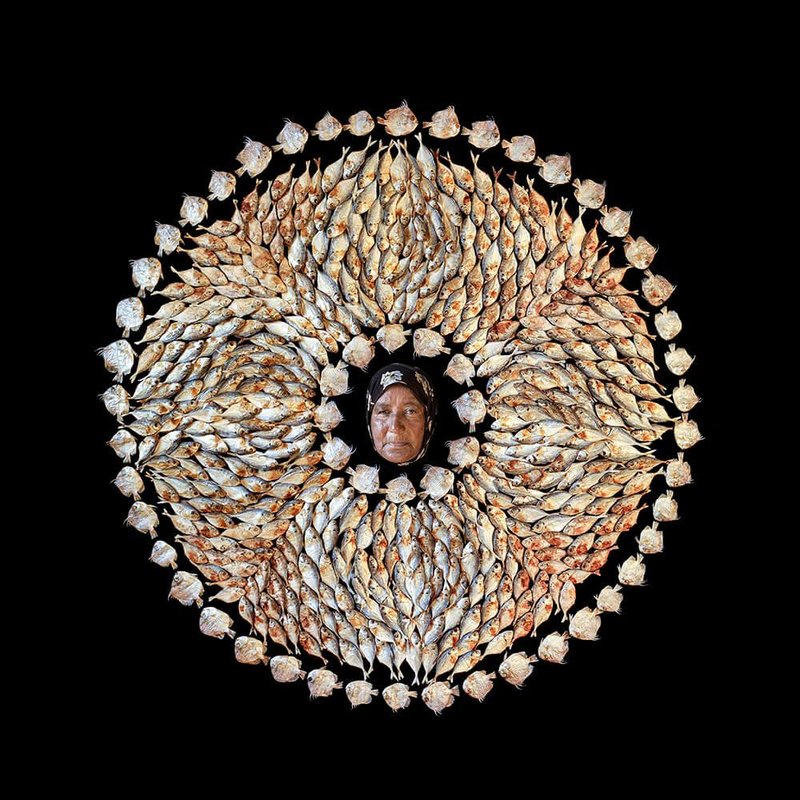 Alireza Memariani, Khatoon, 2016