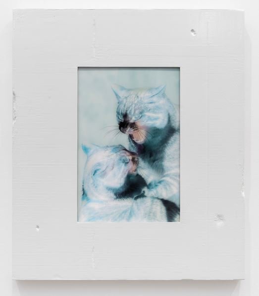 Shahryar Nashat, Untitled, 2026