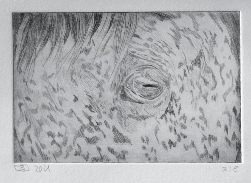 Sepideh Zamani, Untitled, 2021