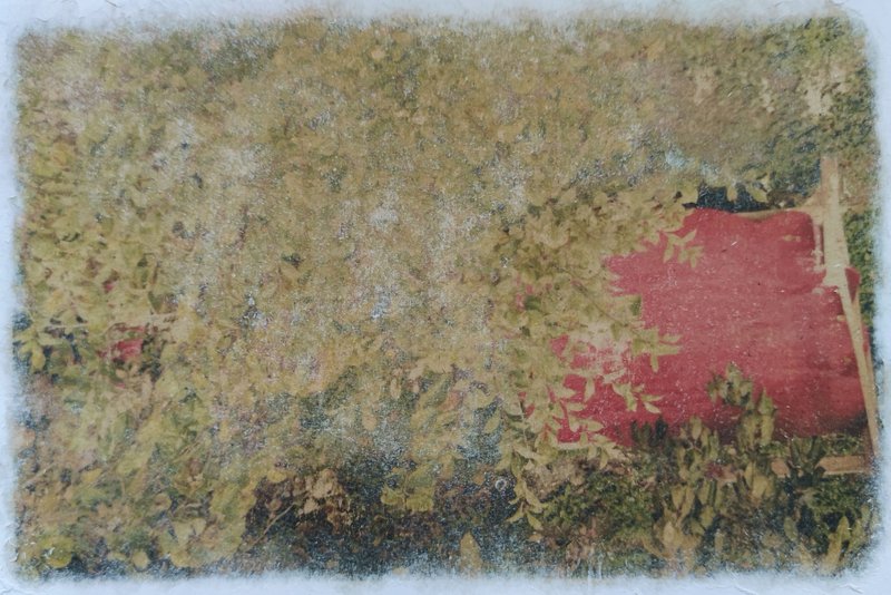 Sara Sasani, Untitled, 2024