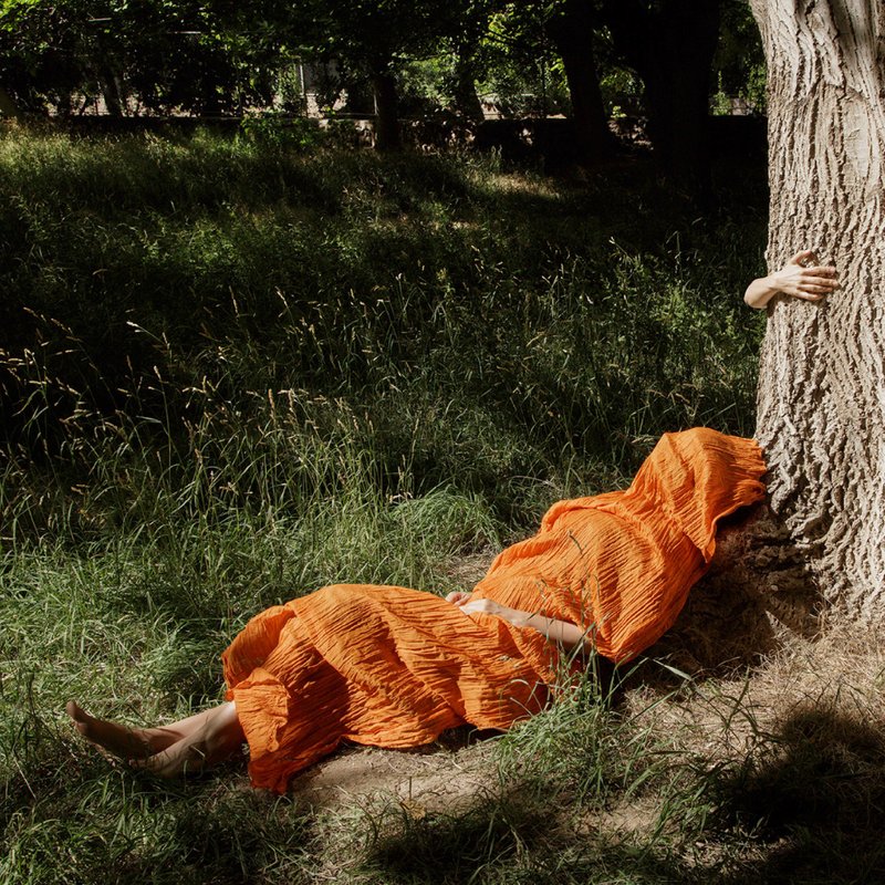The Nap