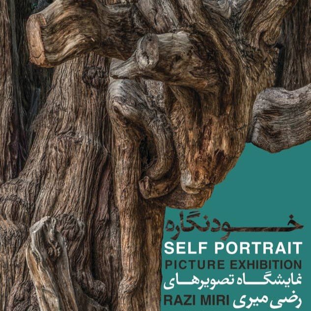 خودنگاره