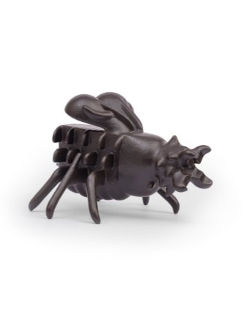 Sam Nikmaram, Prickly Beetle, 2022