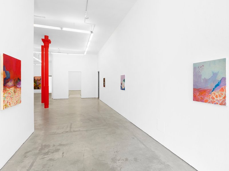 Wild Roses, installation view