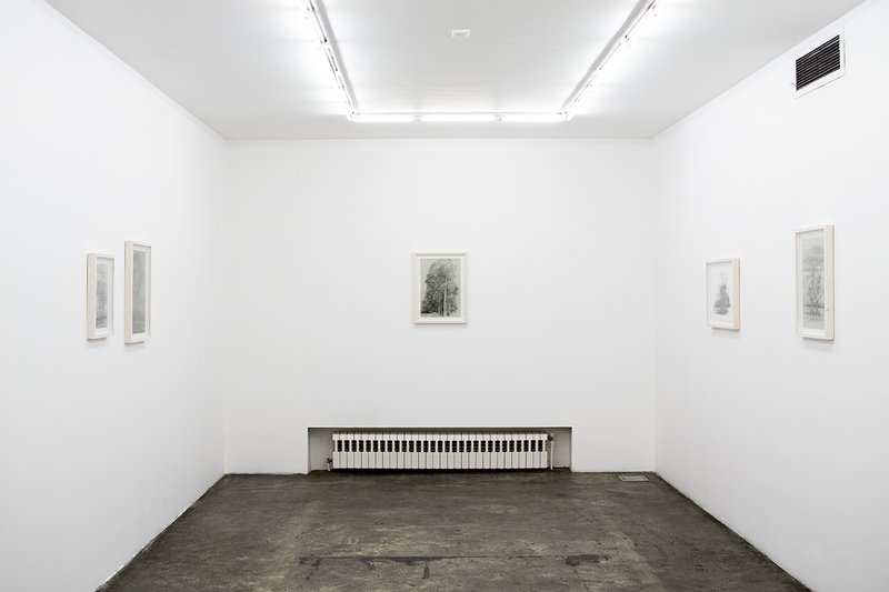 Always the Same Tree, installation view