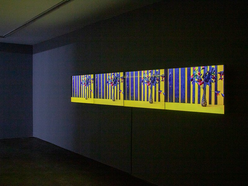 Muse-um, installation view