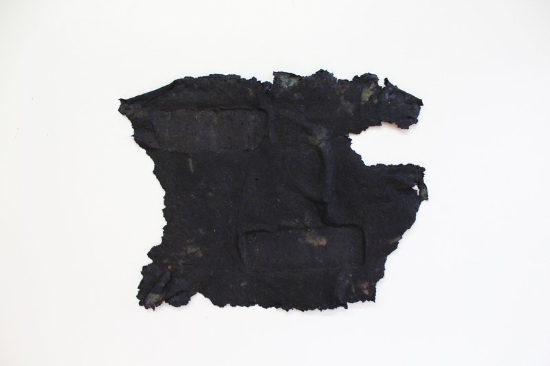 Aryana Minai, Echoe XIII, 2020