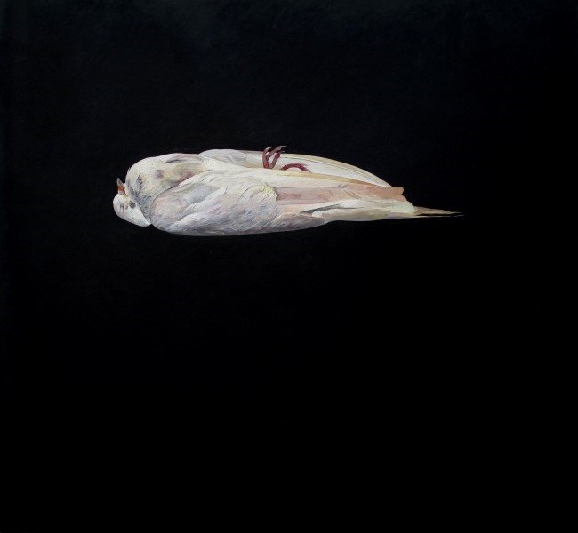 Javad Modaresi, Untitled, 2010