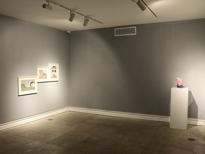 Ghizh, installation view