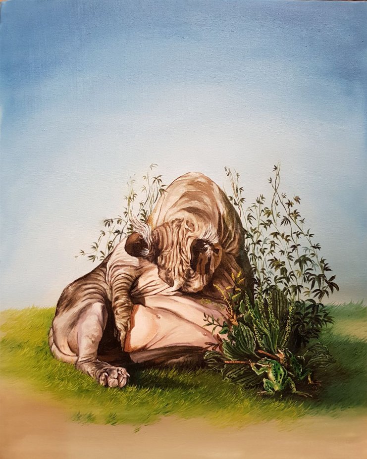 Sanam Saye Afkan, Untitled, 2020