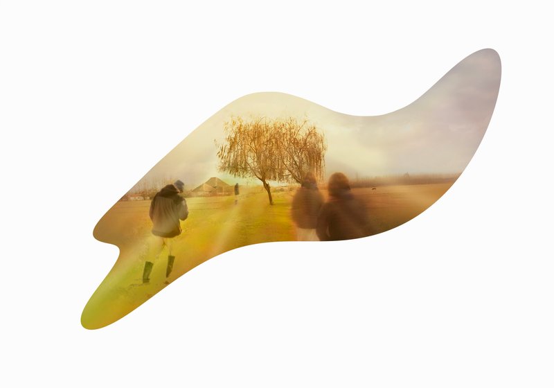 Rana Heidarzade, Timeless, 2024