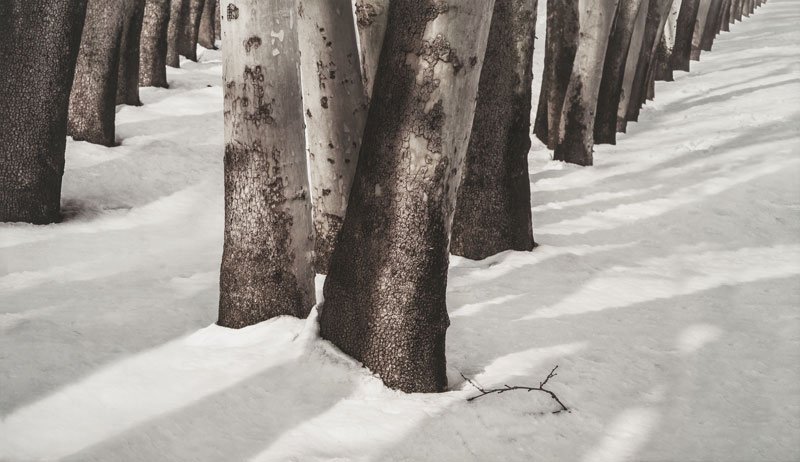 Abbas Kiarostami, Untitled, 2013