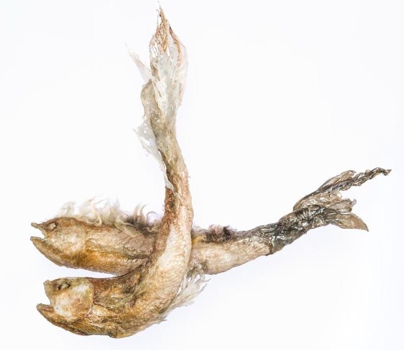 Elham Fallahi, Untitled 3, 2018