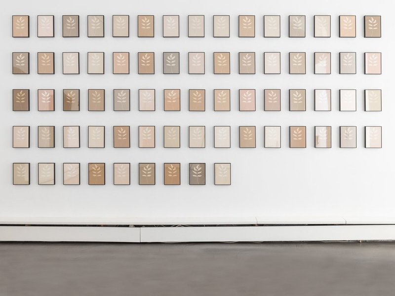 Schwarzschild, installation view