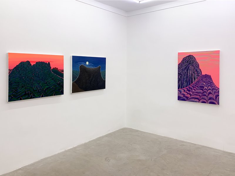 Rugged Land, installation view