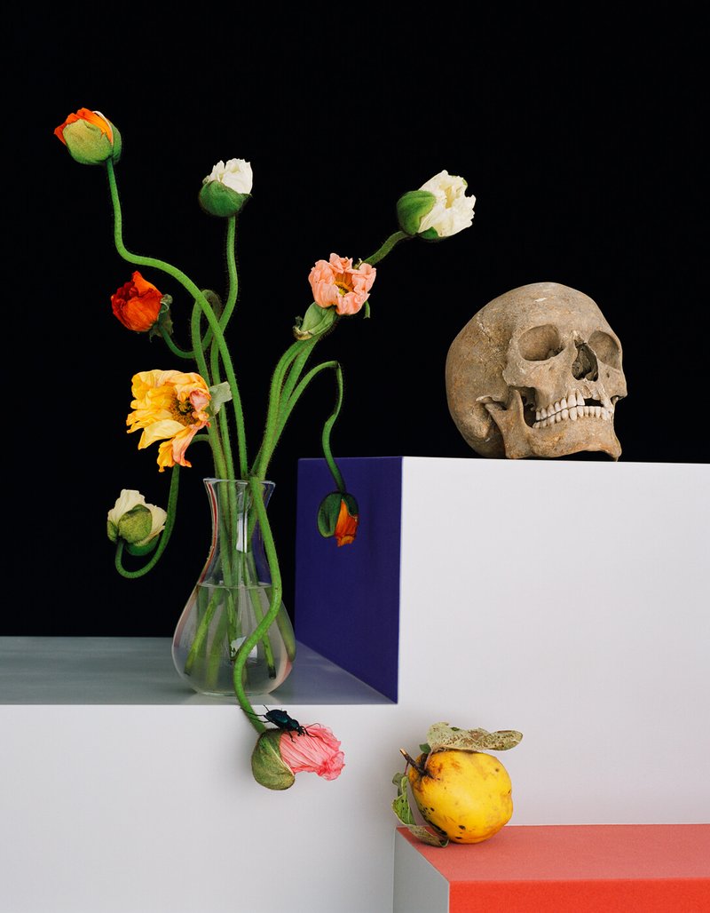 Shirana Shahbazi, Still Life, 2009