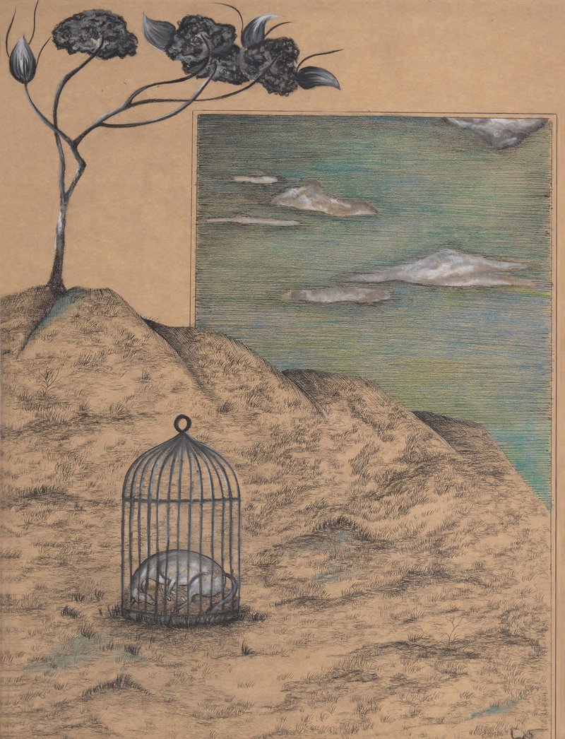 Kimia Fadaeian, Untitled, 0