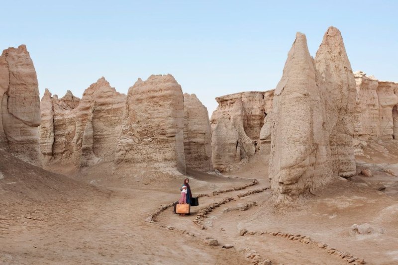 Gohar Dashti, Stateless 6, 2015