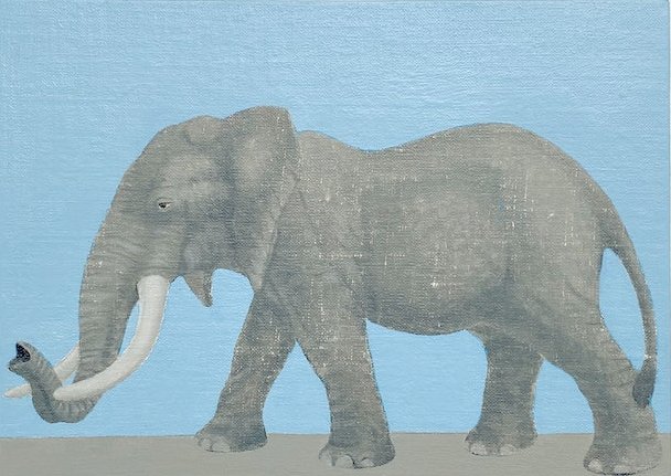Maryam Amiryani, Safari: Elephant, 2022