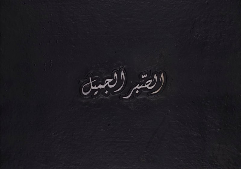 Mojtaba Amini, Al-Sabr Al-Jameel, 2019