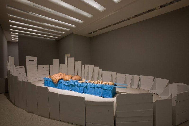 Installation view.