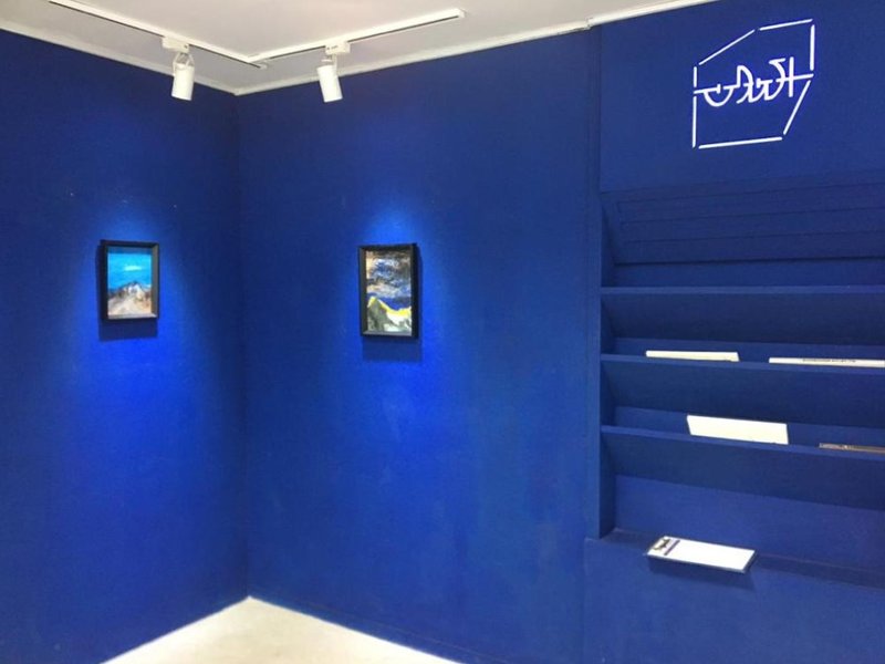 Extinct Condition, installation view