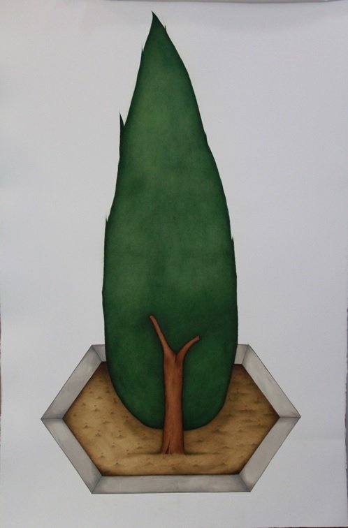 Maryam Baniasadi, A Cypress Tree, 2017
