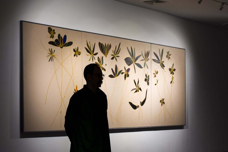 گل گاوزبان، نمای چیدمان