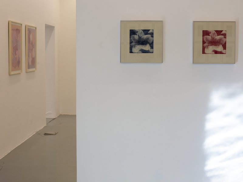 Indefinite Tokens, installation view