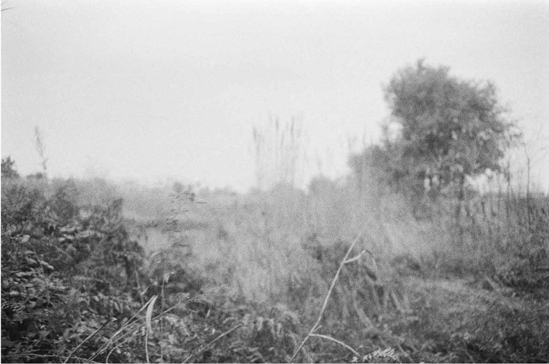 Mohammad Kalantari, Untitled, 0