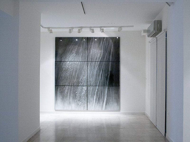 Naturae, installation view