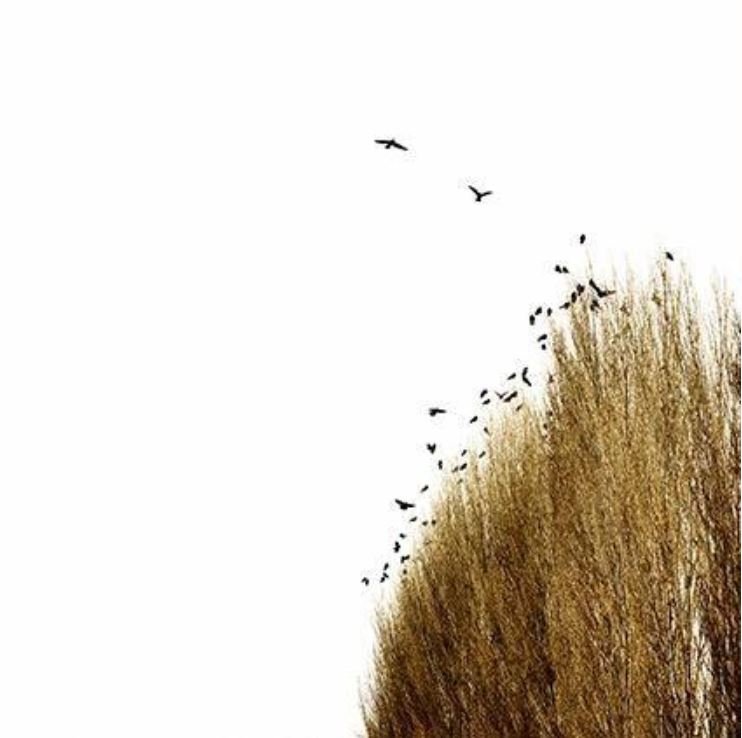 Maryam Zandi, Untitled, 2013