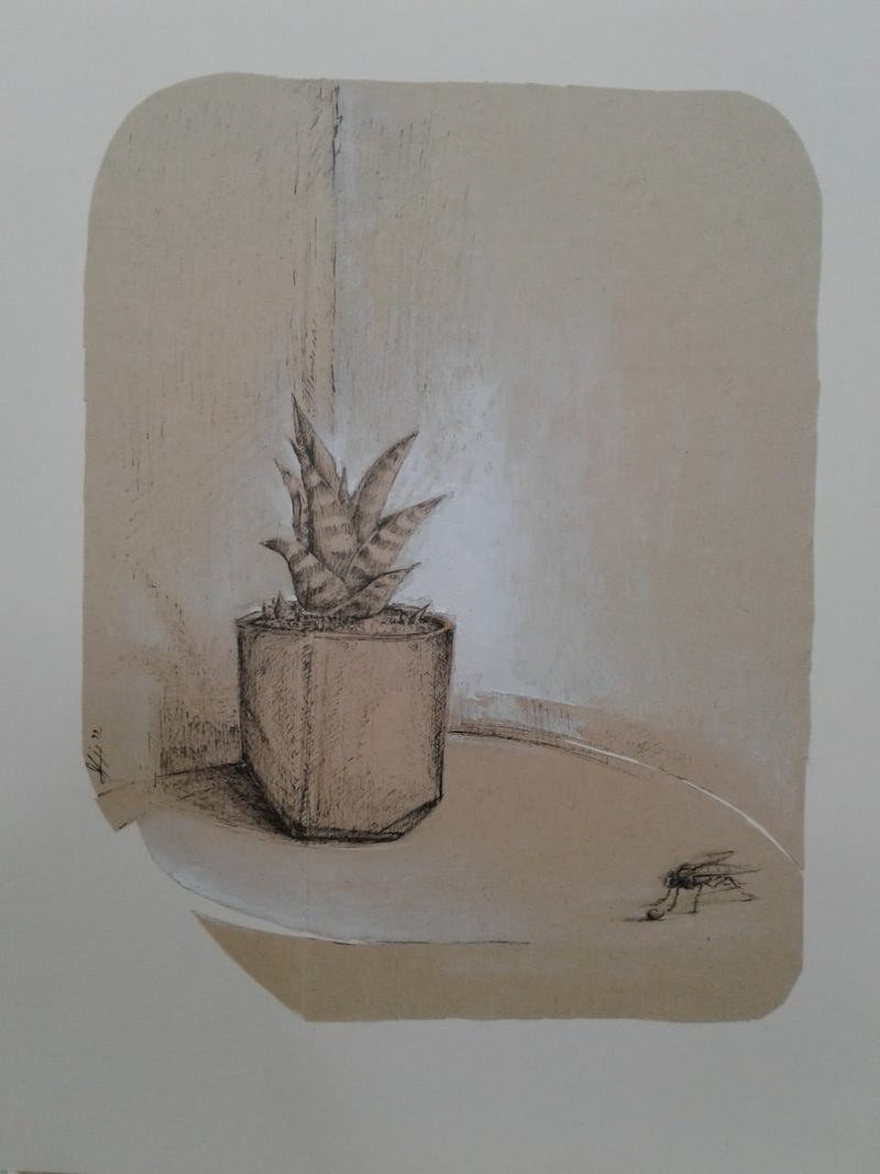 Mohamad Naghib, Untitled, 0