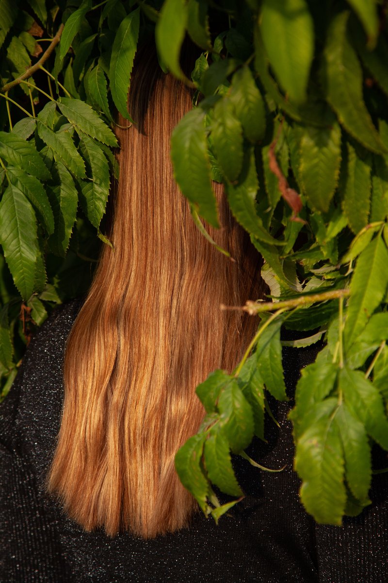 Atefe Moeini, Untitled, 2021