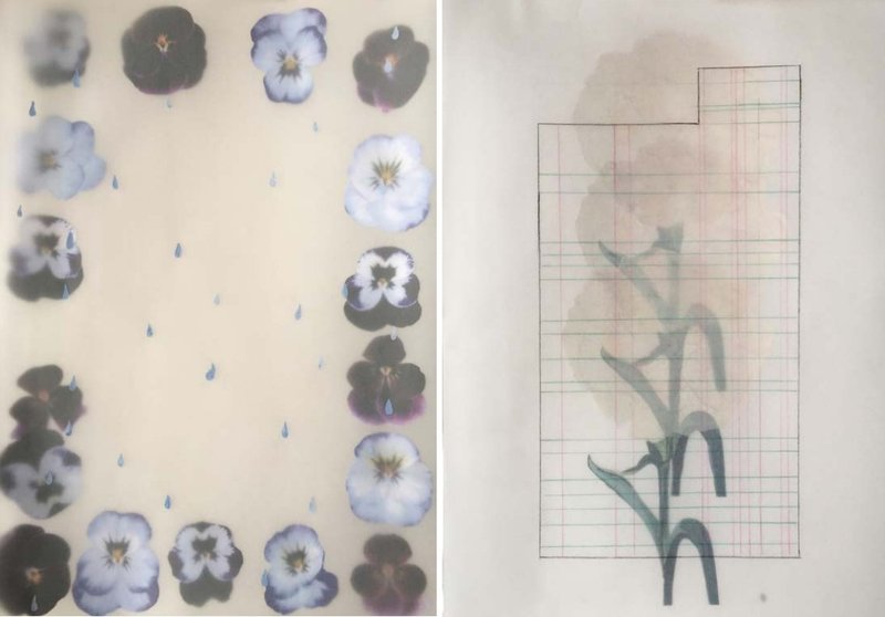 Mozhan Yaghoubi, Hanahaki (Unseen, Felt), 2022