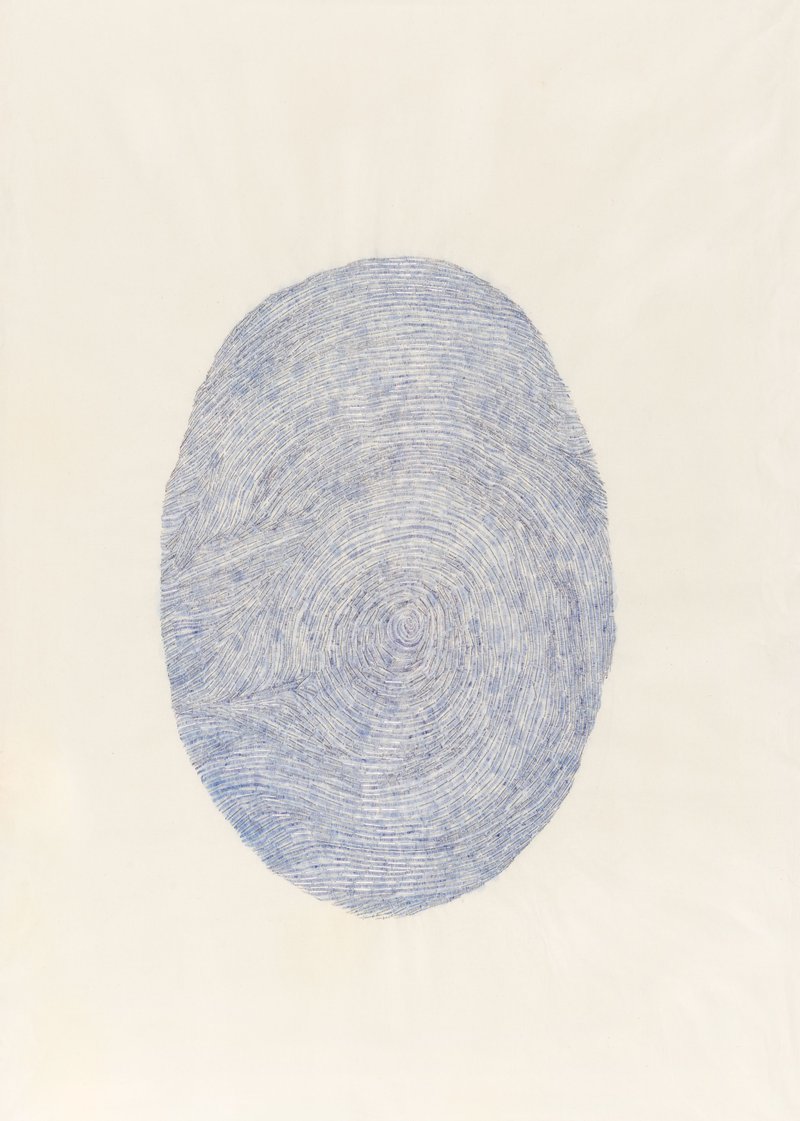 Shabnam Jahanshahi, I?, 2020