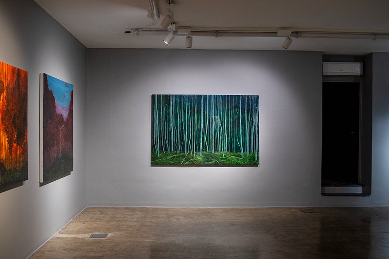 A Duo Exhibition , installation view